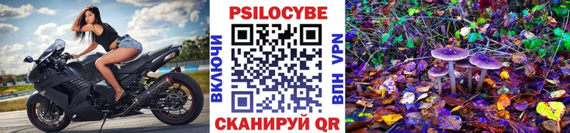 Псилоцибиновые грибы прущие грибы сколько стоит Яровое